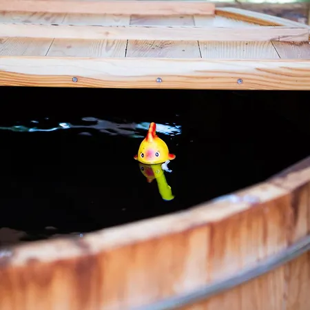 La De L'étang Du Domaine De La Forestière * Saint-Louis (Moselle)