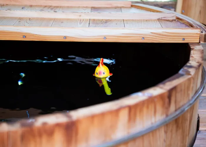 La De L'etang Du Domaine De La Forestiere * Saint-Louis (Moselle)